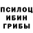 Галлюциногенные грибы ЛСД Jassey Matters