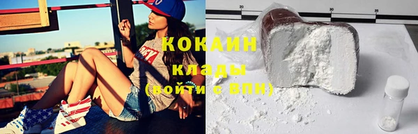 хмурый Белокуриха