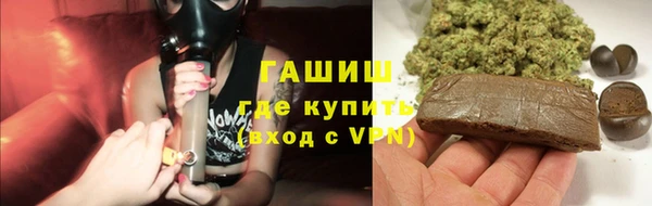 сатива Беломорск