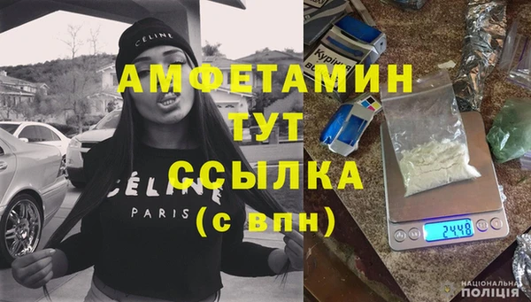 сатива Беломорск