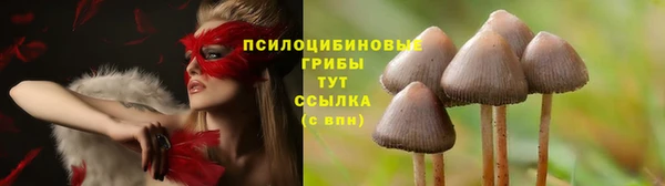 мет Белоозёрский