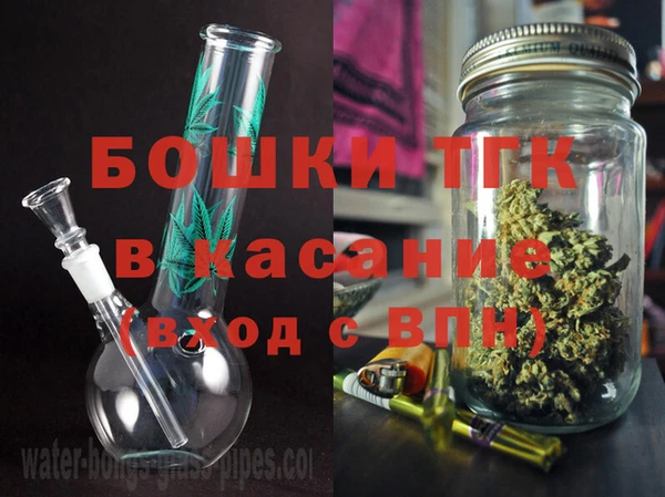 сатива Беломорск