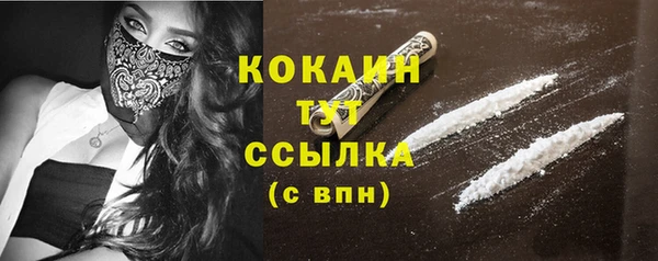 хмурый Белокуриха