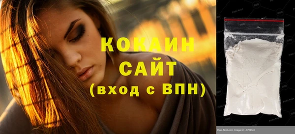 хмурый Белокуриха